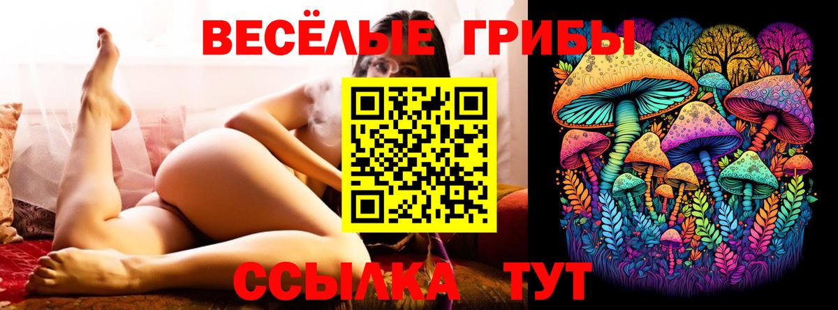 Галлюциногенные грибы Psilocybe  Вход с VPN  Можайск 