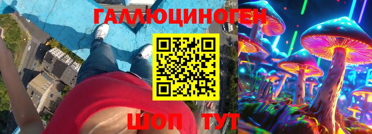 Псилоцибиновые грибы мухоморы Можайск